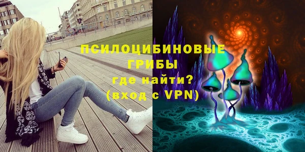 соль ск Алзамай