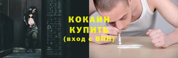 соль ск Алзамай