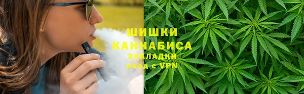 соль ск Алзамай
