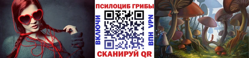 Псилоцибиновые грибы GOLDEN TEACHER купить наркоту OMG tor Кудымкар